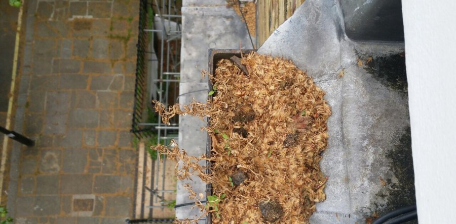 Preventative Maintenance – Gutter cleaning services