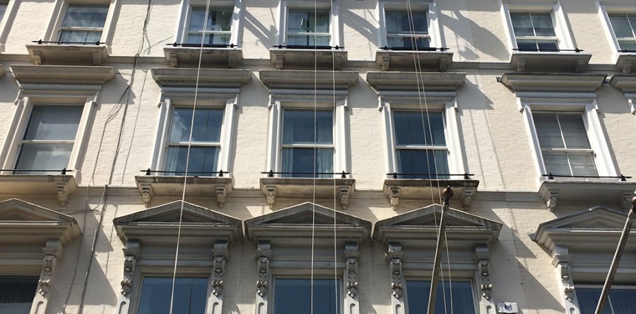 Clean and Pest Cotrol